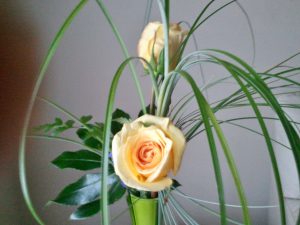 Roses in a tall vase