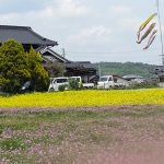 Koinobori; carp shaped streamer