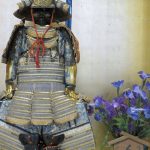  Samurai armor and Shobu( flowers) for Boy's festival; Tango no sekku
